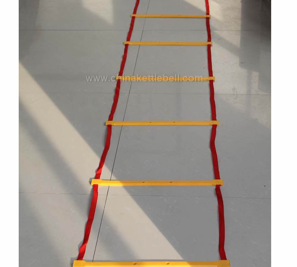 Agility ladder