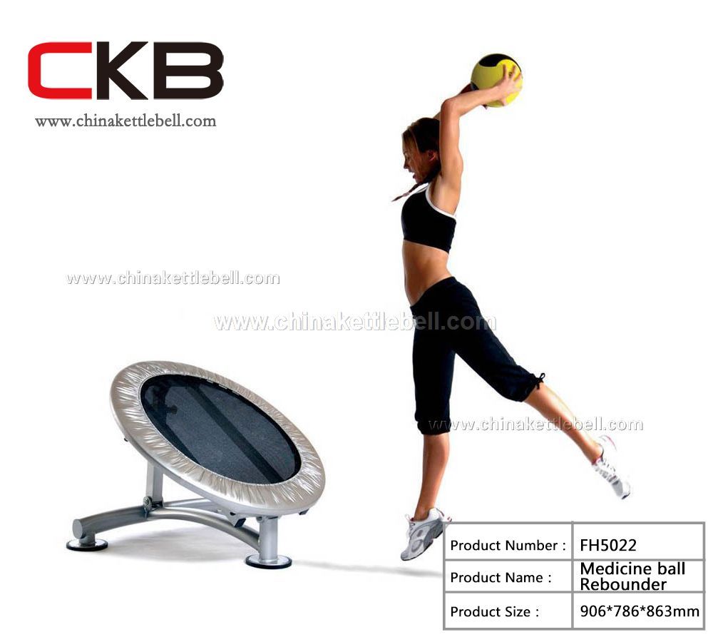 Medicine ball Rebounder