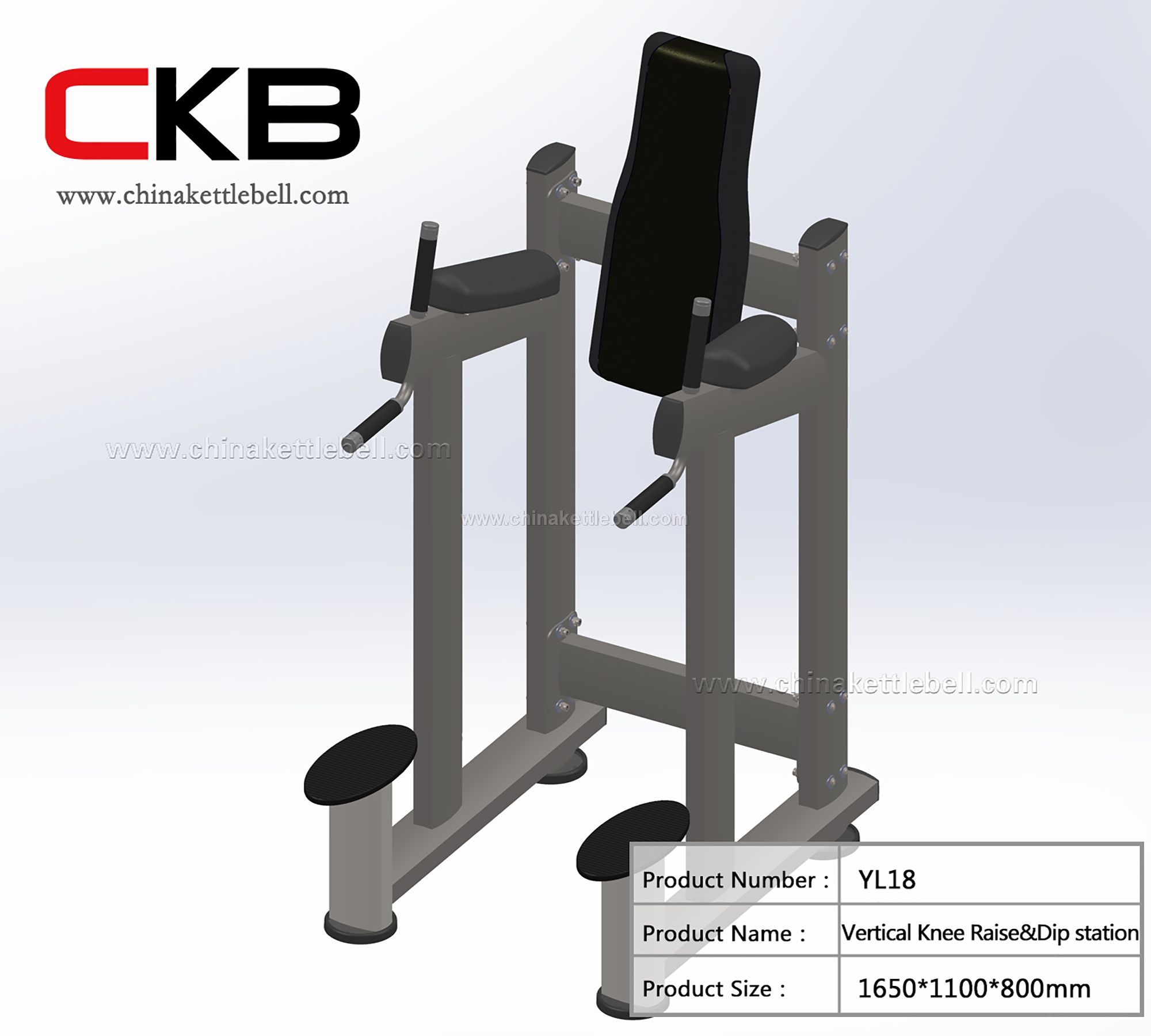 Vertical Knee Raise&Dip station