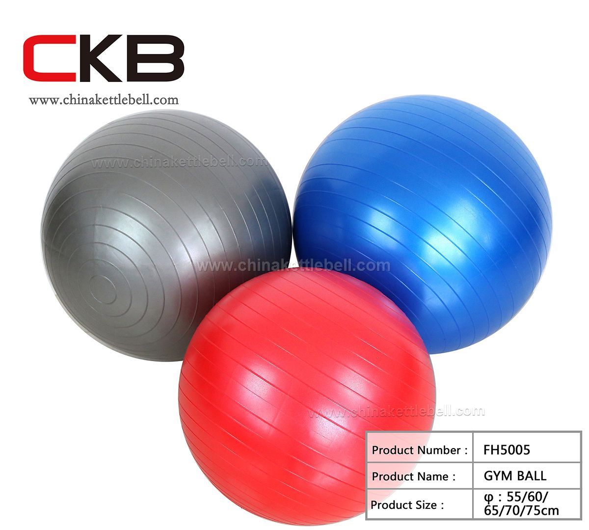 GYM BALL