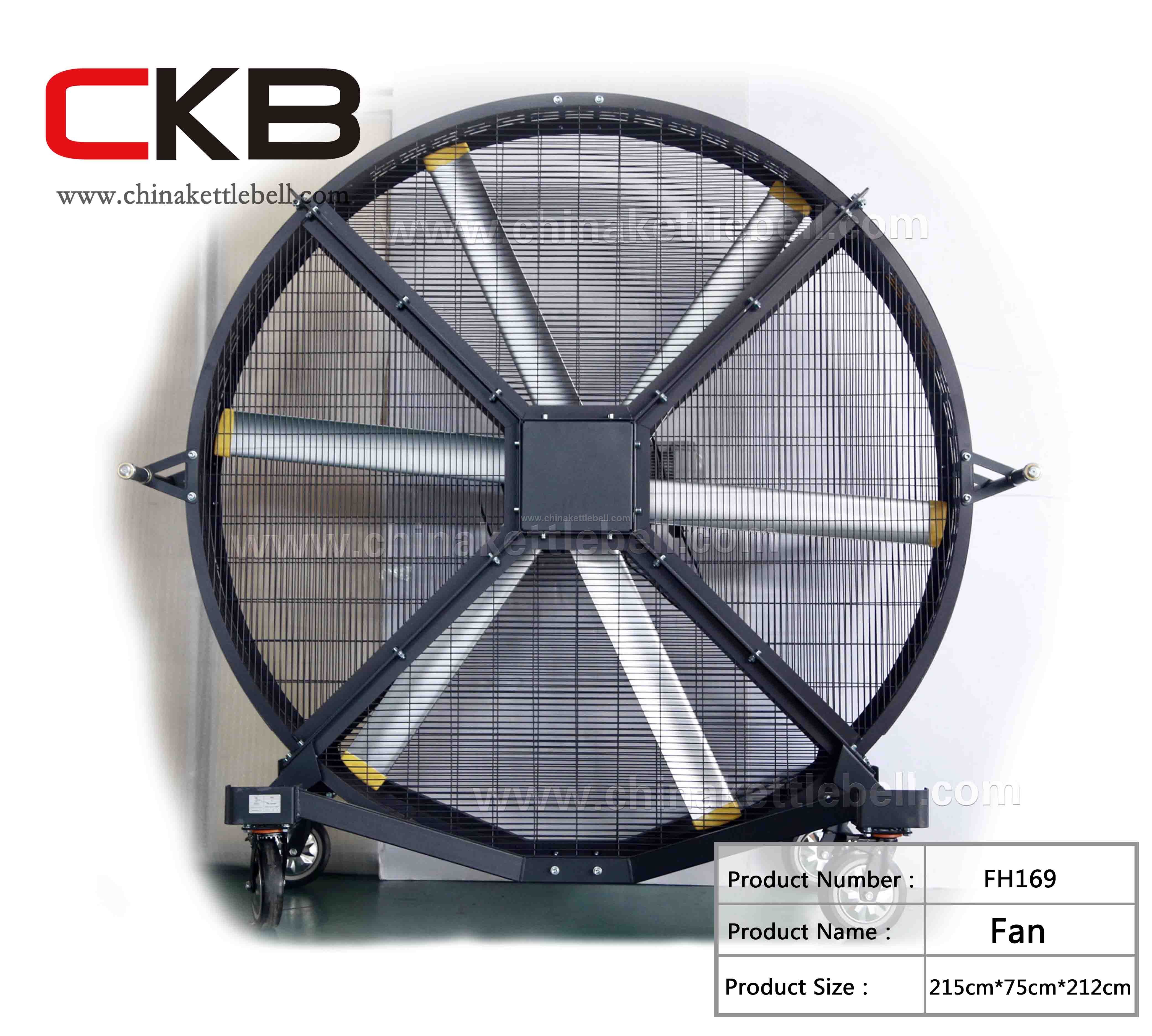 Fan
