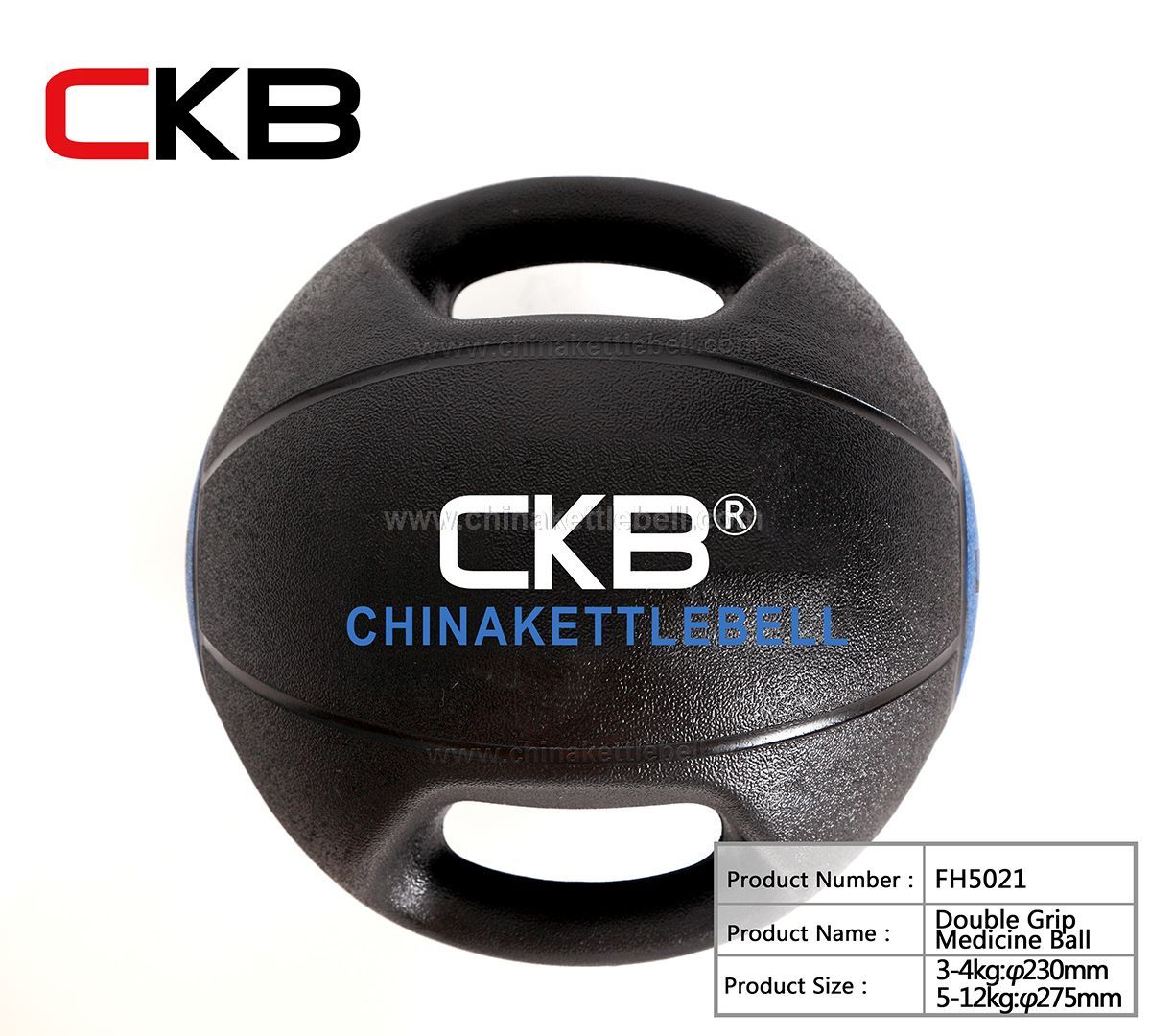 Double grip medicine ball