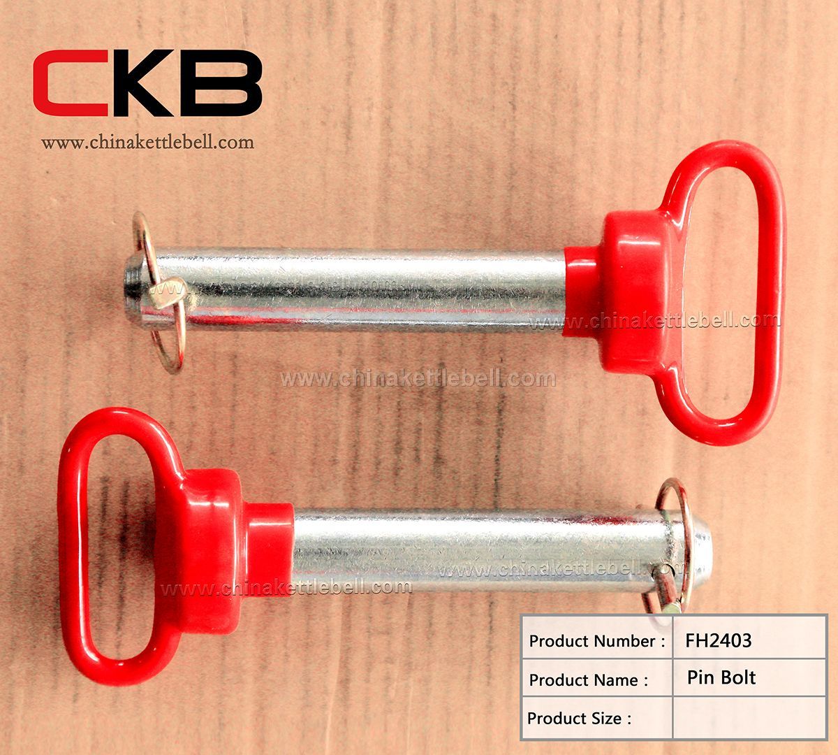 Pin bolt