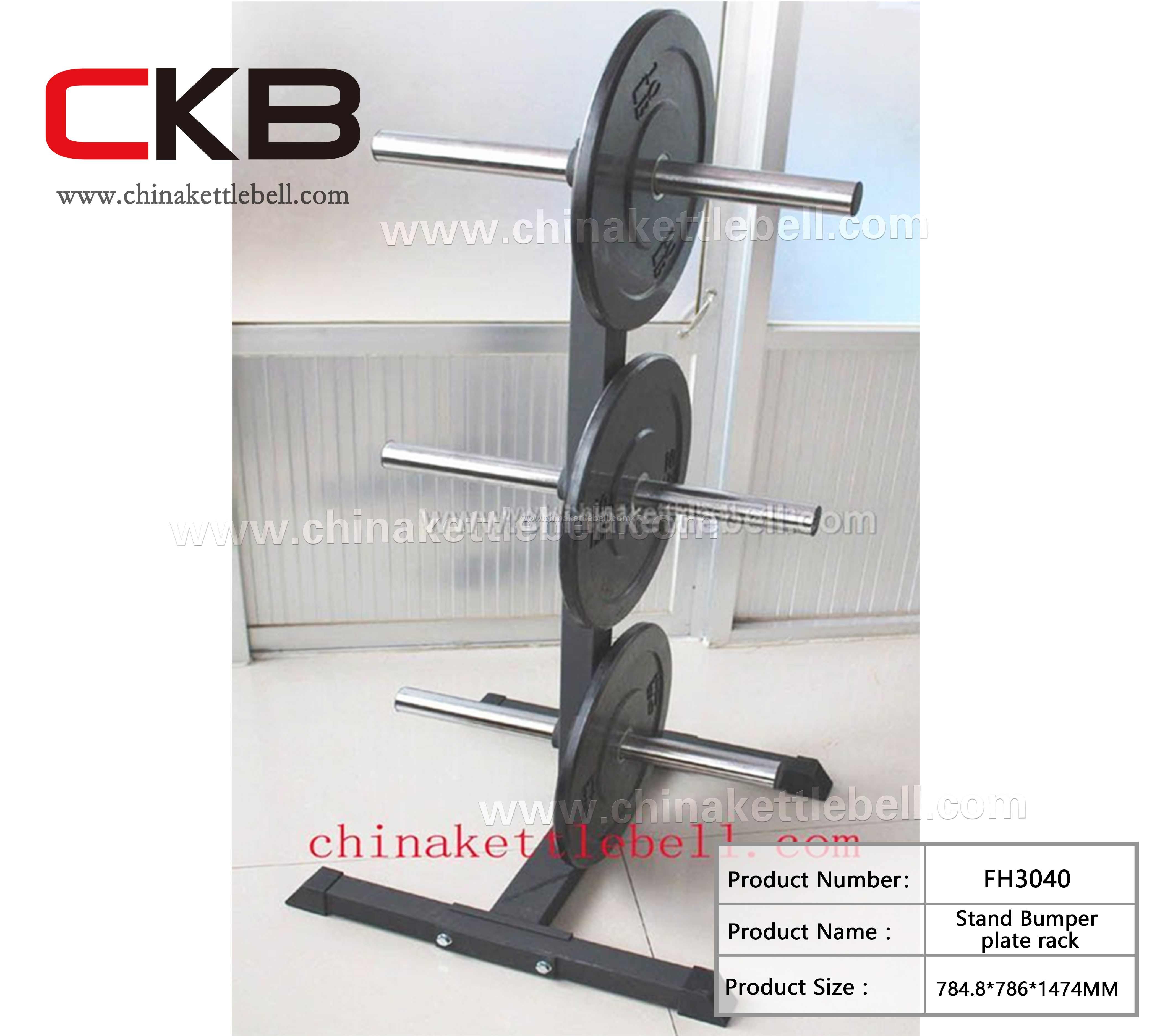 Stand bumper plate rack