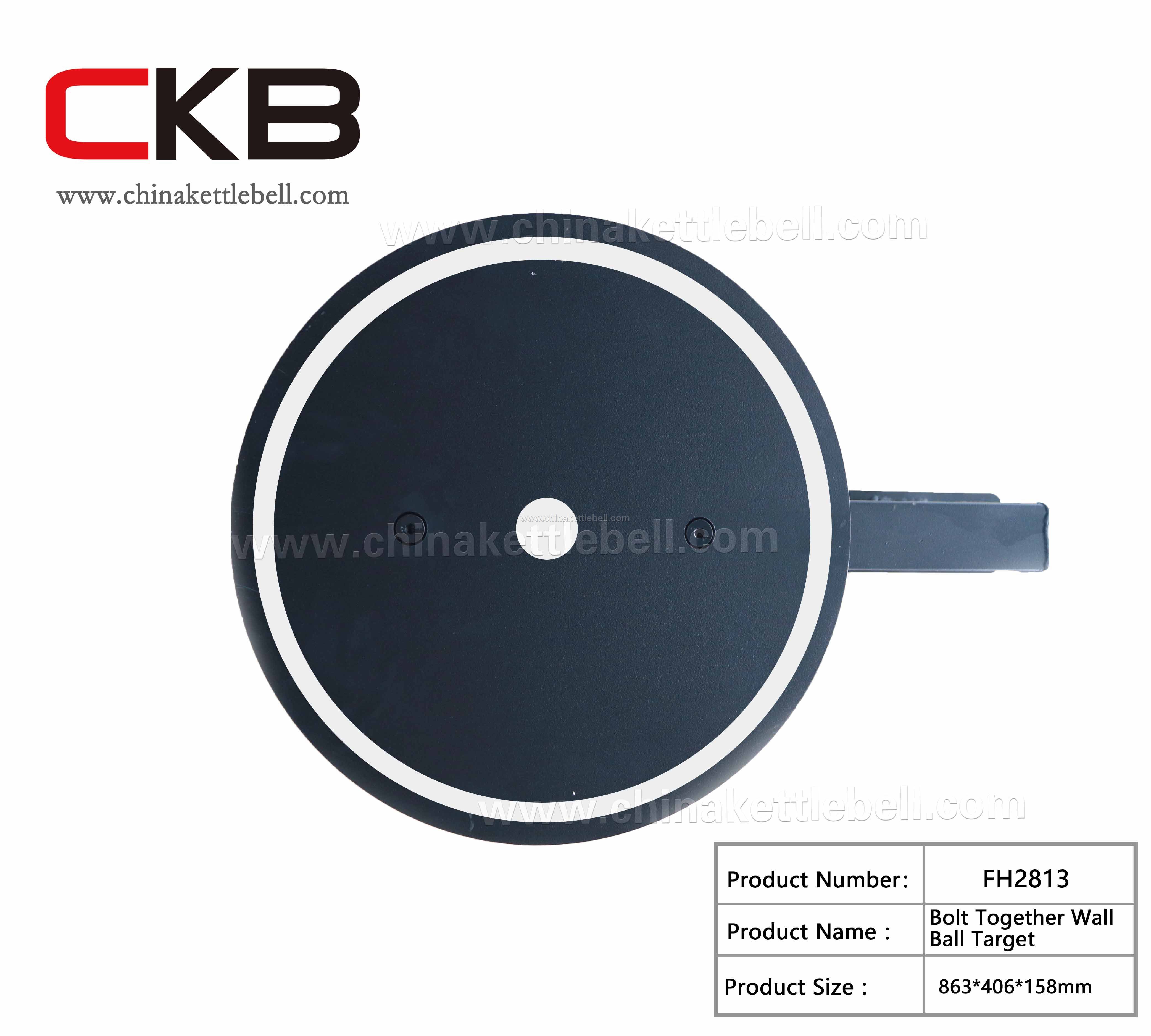 Bolt Together Wall Ball Target
